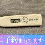 ヒメ日記 2025/10/24 12:07 投稿 ミオン(奥方) 奥様幕府