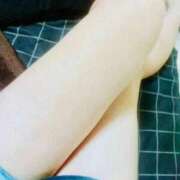 ヒメ日記 2025/11/09 03:33 投稿 ミオン(奥方) 奥様幕府