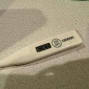 ヒメ日記 2025/11/09 10:07 投稿 ミオン(奥方) 奥様幕府