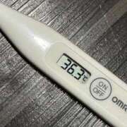 ヒメ日記 2025/11/11 12:17 投稿 ミオン(奥方) 奥様幕府