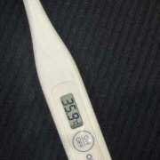 ヒメ日記 2025/11/15 13:07 投稿 ミオン(奥方) 奥様幕府