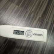 ヒメ日記 2025/11/20 12:17 投稿 ミオン(奥方) 奥様幕府