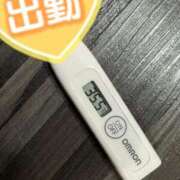 ヒメ日記 2025/11/21 13:14 投稿 ミオン(奥方) 奥様幕府