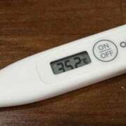 ヒメ日記 2025/11/22 11:47 投稿 ミオン(奥方) 奥様幕府