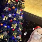 ヒメ日記 2025/11/24 20:37 投稿 ミオン(奥方) 奥様幕府