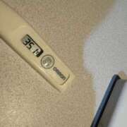 ヒメ日記 2025/12/16 14:17 投稿 ミオン(奥方) 奥様幕府