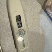 ヒメ日記 2025/12/17 13:27 投稿 ミオン(奥方) 奥様幕府