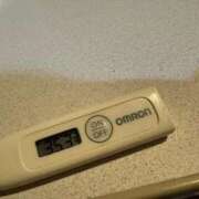 ヒメ日記 2025/12/20 12:07 投稿 ミオン(奥方) 奥様幕府