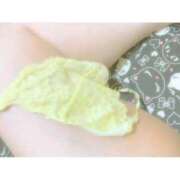 ヒメ日記 2025/12/21 01:17 投稿 ミオン(奥方) 奥様幕府