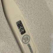 ヒメ日記 2025/12/21 12:16 投稿 ミオン(奥方) 奥様幕府