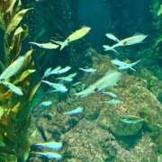 ヒメ日記 2025/12/24 21:37 投稿 ミオン(奥方) 奥様幕府