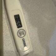 ヒメ日記 2025/12/26 12:17 投稿 ミオン(奥方) 奥様幕府