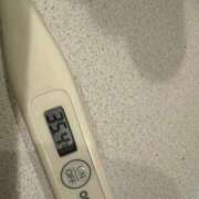 ヒメ日記 2025/12/27 13:17 投稿 ミオン(奥方) 奥様幕府