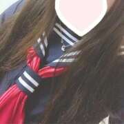 ヒメ日記 2025/12/30 04:50 投稿 ミオン(奥方) 奥様幕府