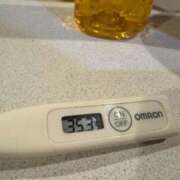 ヒメ日記 2026/01/02 12:07 投稿 ミオン(奥方) 奥様幕府