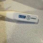 ヒメ日記 2026/01/03 13:17 投稿 ミオン(奥方) 奥様幕府