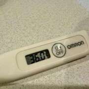 ヒメ日記 2026/01/05 12:07 投稿 ミオン(奥方) 奥様幕府