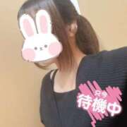 ヒメ日記 2025/04/07 17:48 投稿 ありえる ばつぐん素人プロダクション