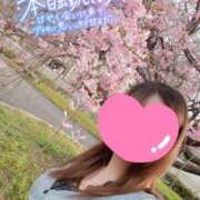 ヒメ日記 2025/04/11 13:00 投稿 ありえる ばつぐん素人プロダクション