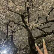 ヒメ日記 2025/03/31 12:22 投稿 まゆか 鶯谷デリヘル倶楽部