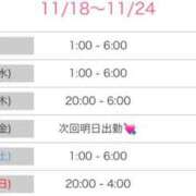 ヒメ日記 2025/11/18 07:27 投稿 かりん シークレットサービス