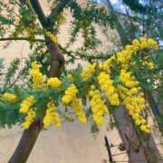 ヒメ日記 2026/03/28 18:57 投稿 みなみ 濃厚即19妻