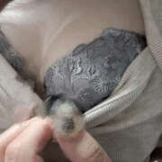 ヒメ日記 2025/11/08 16:51 投稿 なお 彼女の部屋本店