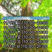 ヒメ日記 2024/11/05 07:28 投稿 みやび 諭吉専科