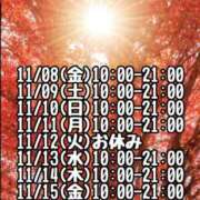 ヒメ日記 2024/11/08 13:46 投稿 みやび 諭吉専科