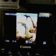 ヒメ日記 2024/12/29 09:24 投稿 みやび 諭吉専科