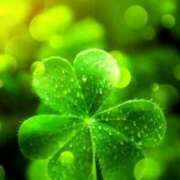 ヒメ日記 2025/04/10 10:33 投稿 みやび 諭吉専科