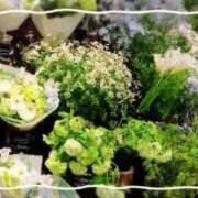 ヒメ日記 2025/04/19 16:30 投稿 みやび 諭吉専科