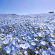 ヒメ日記 2025/05/06 08:13 投稿 みやび 諭吉専科