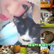 ヒメ日記 2026/07/08 09:18 投稿 みやび 諭吉専科