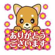 ヒメ日記 2025/04/29 08:56 投稿 なみ奥様 人妻倶楽部　日本橋店