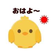 ヒメ日記 2025/07/05 09:26 投稿 なみ奥様 人妻倶楽部　日本橋店