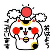 ヒメ日記 2026/01/13 09:36 投稿 なみ奥様 人妻倶楽部　日本橋店