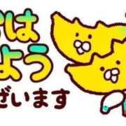 ヒメ日記 2026/04/08 09:46 投稿 なみ奥様 人妻倶楽部　日本橋店