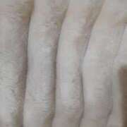 ヒメ日記 2024/12/14 08:55 投稿 まぐろ丼のヒナタ C級グル女　鶯谷店