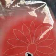 ヒメ日記 2025/01/25 08:53 投稿 まぐろ丼のヒナタ C級グル女　鶯谷店