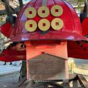 ヒメ日記 2025/04/18 07:22 投稿 はるひ 熟女の風俗最終章 池袋店