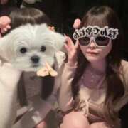 ヒメ日記 2025/12/20 22:45 投稿 えみか まだ舐めたくて学園渋谷校〜舐めたくてグループ〜