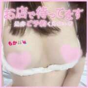 ヒメ日記 2025/04/19 15:01 投稿 もか モアグループ神栖人妻花壇