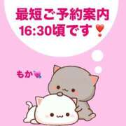 ヒメ日記 2025/06/16 14:34 投稿 もか モアグループ神栖人妻花壇