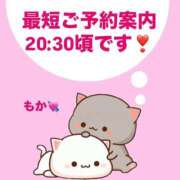 ヒメ日記 2025/06/16 18:09 投稿 もか モアグループ神栖人妻花壇