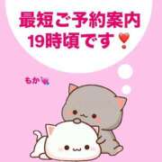 ヒメ日記 2025/06/23 16:37 投稿 もか モアグループ神栖人妻花壇