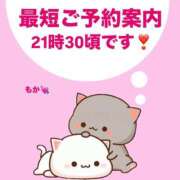 ヒメ日記 2025/06/24 19:22 投稿 もか モアグループ神栖人妻花壇