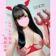 ヒメ日記 2025/12/28 09:17 投稿 もか モアグループ神栖人妻花壇