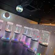 ヒメ日記 2025/12/24 09:35 投稿 あやか 梅田アバンチュール