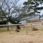 ヒメ日記 2026/03/07 19:32 投稿 あやか 梅田アバンチュール